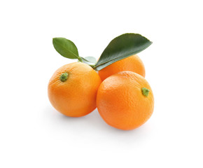 Branch of ripe tangerines isolated on white. Tasty citrus fruit