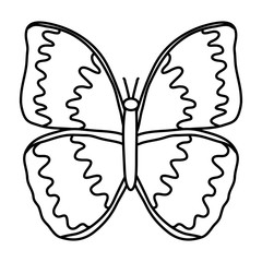 Butterfly nature desing vector illustration