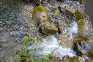 Mountain river in the summer with small waterfalls. Beautiful summer landscape of the Carpathians.