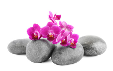 Obraz na płótnie Canvas Orchid with spa stones on white background