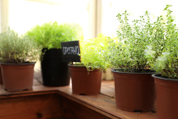 Fototapeta na wymiar Fresh potted home plants on wooden window sill