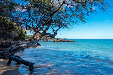 Waialea Beach on the Big Island, Hawaii
