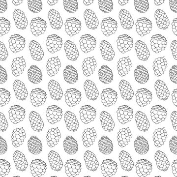 Hand drawn cones seamless. Natural forest pattern. Sketch vector cones background. © Анастасия