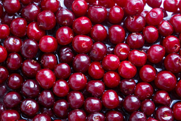 Cherry background. Red ripe tasty berries in the water for making jam