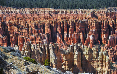 Bryce Canyon Hoodoo's