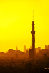 beautiful view of tokyo sky tree at sunset time