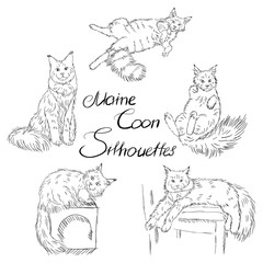 cute furry maine coon cats silhouettes, black and white pet silhouettes set, adult coloring book or veterinary, editable vector illustration