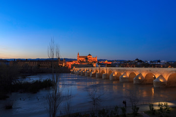 Obraz premium Cordoba,Spain,2,2014;view of roman bridge and cathedral at blue hour