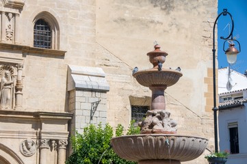 Fototapeta na wymiar Pigeons in fountain in old town. Spain