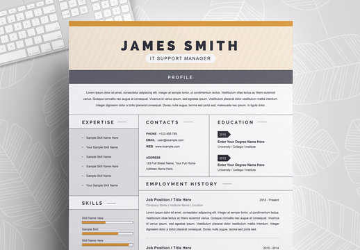 Resume Layout with Orange and Gray Elements