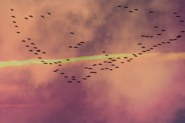 cranes departure