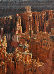 Bryce Canyon Hoodoo's