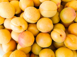 Fototapeta na wymiar Apricot. Ripe picked fruits of apricot