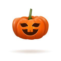 Realistic pumpkin. Halloween holiday. Vector illustration.