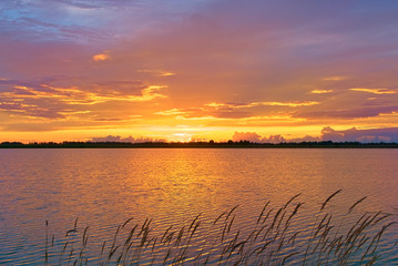 Fototapeta na wymiar Summer sunset on Sorozhye Lake. Kostroma region, Russia.