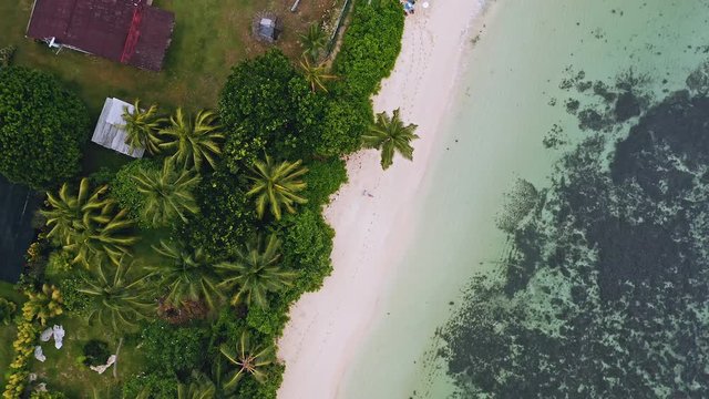 4k aerial view vertical spining move up footage from girl sitting on a white sand beach surrounded by crystal clear turquoise shallow ocean and pam trees on tropical island