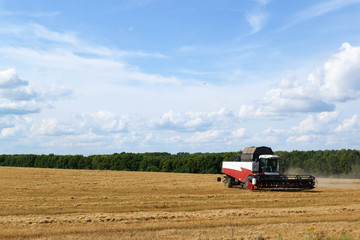 Fototapeta na wymiar combine harvester working on wheat field under cloudy sky