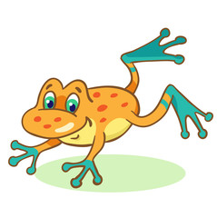 Little funny orange frog is jumping.   Isolated on a white background. In cartoon style.