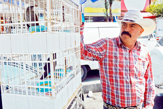 Portrait of man looking at bird in cage