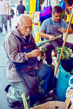 Candid portrait of florists bunching flowers