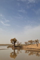 Keriya River flowing N.into the TaklaMakan desert. Xinjiang Uyghur Region-China-0330