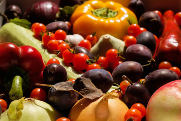 Set of autumn vegetables and fruits in sunlight. Bright autumn colors in Ukraine. Close up.