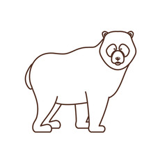 Isolated bear animal design vector illustration