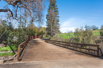 Fototapeta premium wooden bridge in the forest