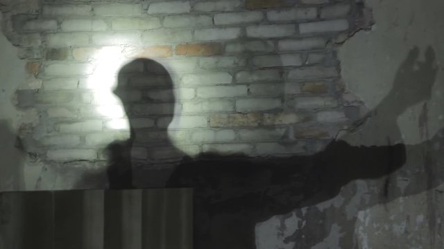 Mysterious Shadow Plays Travelling On The Wall. Maybe Ghost Of Hamlet's Father