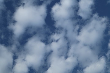 Fototapeta premium clouds in the sky