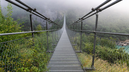 Passerelle du Monteynard.