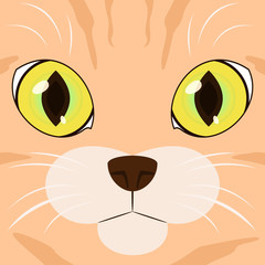Vector illustration of cat face