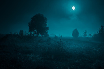Night mysterious landscape in cold tones - silhouettes of the trees under the full moon on dramatic...