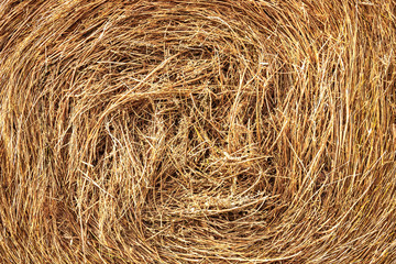 Closeup of bale's of hay texture spiral as a rural background