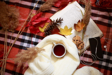  Autumn flatlay composition. Flat lay, top view. Season concept. 
