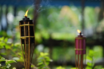 Bamboo citronella torches