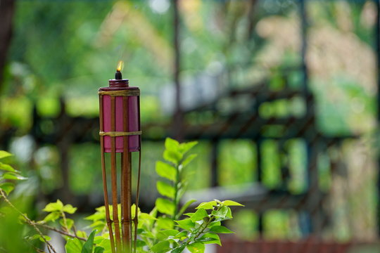 Bamboo citronella torches