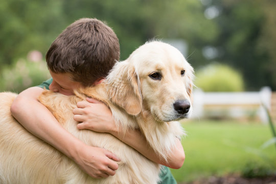 Boy Hugging His Pet Golden Retriever Dog Outdoors