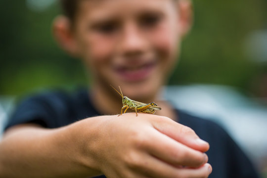 Selective focus of grasshopper sitting on hand of boy