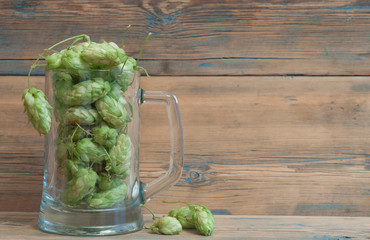 Glass mug with hops on wooden background