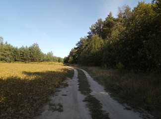 road in the countryside