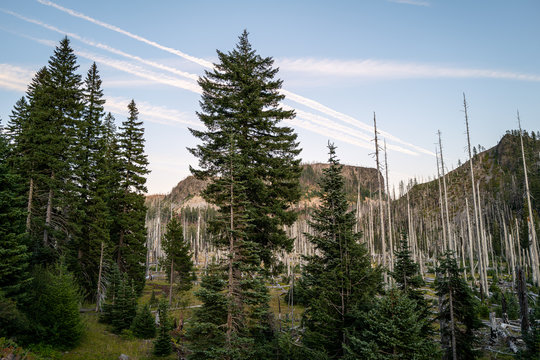 Jet trails seen over a deforested area in the mountains