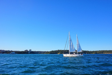 Boats on Sydney Harbour with blue skies