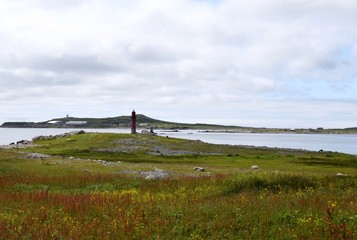 view across the meadow on the southern tip of Ile aux towards the lighthouse, Saint Pierre et...