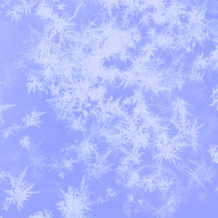 Fototapeta na wymiar Blue frozen background. Lightly decorative ornamental backdrop.