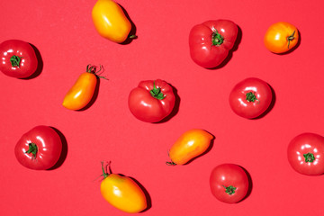 Yellow and red tomatoes pattern on red background. Flat lay, top view. Summer minimal concept. Vegan and vegetarian diet.