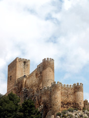 Fototapeta na wymiar Castillo de Almansa