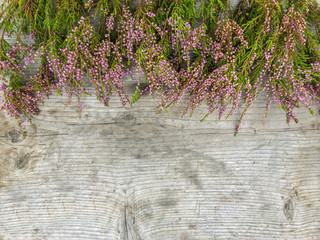 Heather Calluna vulgaris. Heather branches on a wooden background. Christmas and New Year greeting card layout © Simon