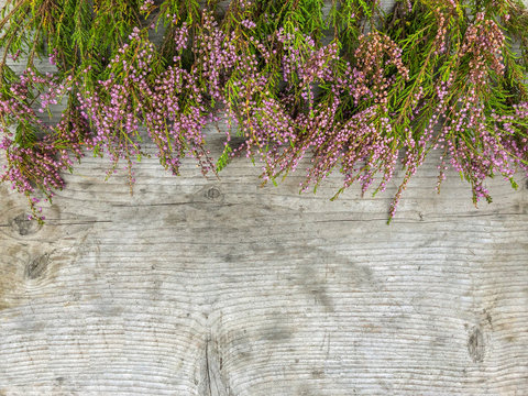Heather Calluna vulgaris. Heather branches on a wooden background. Christmas and New Year greeting card layout