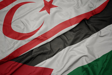 waving colorful flag of palestine and national flag of northern cyprus.